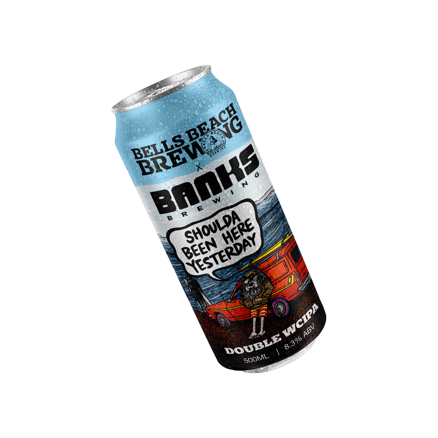 Shoulda Been Here Yesterday WCDIPA (Banks Collab)