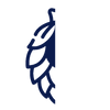 Icon 5